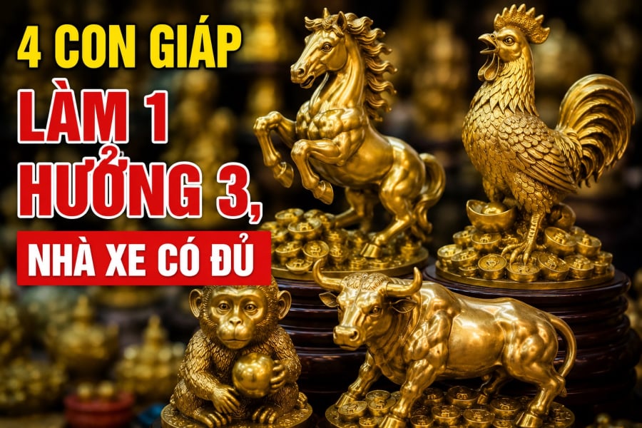 4 Shbet888.com nhà cái uy tín Làm 1 hưởng 3, nhà xe có đủ