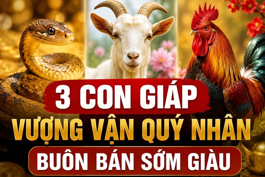 3 Shbet888.com nhà cái uy tín Vượng Vận Quý Nhân, buôn bán sớm giàu