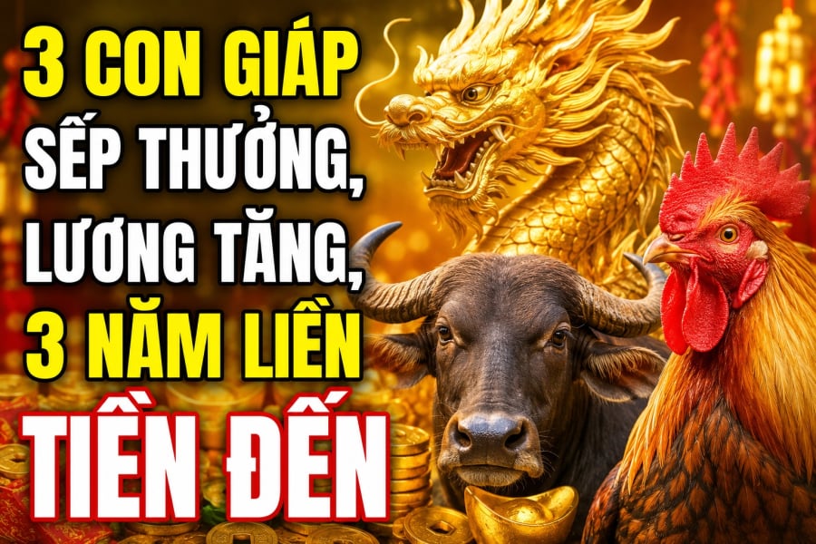 3 Shbet888.com nhà cái uy tín sếp thưởng, lương tăng, 3 năm liền Tiền đến