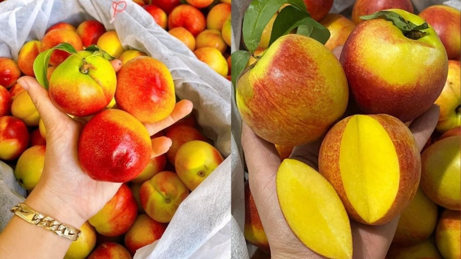 Loại đào dùng để ngâm đường thường là đào trơn ruột vàng. Loại này có màu sắc đẹp mắt, mùi thơm.