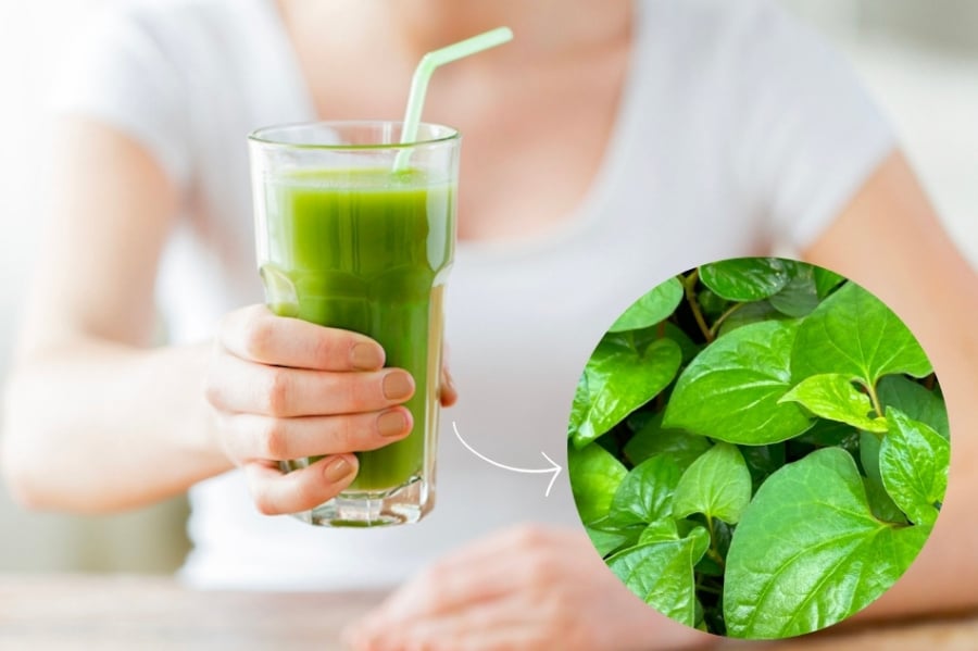Một số hoạt chất trong rau giúp giảm cảm giác nóng rát, khó chịu thường gặp ở Mừng SHBET phiên bản mới 2025 dầu mụn hoặc da tiếp xúc nhiều với ánh nắng và môi trường ô nhiễm.