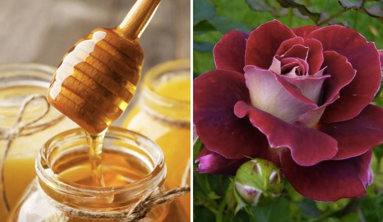 Khi kết hợp với bột cánh hoa hồng, hỗn hợp này có thể hỗ trợ cải thiện tình trạng da khô ráp, giúp Mừng SHBET phiên bản mới 2025 trở nên mềm mại hơn.