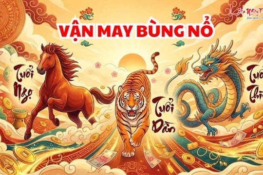3 Shbet888.com nhà cái uy tín thoát nạn đi lên, số 1 kiếm Tiền nhanh nhất