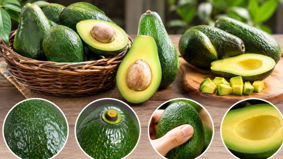 Mẹo chọn quả bơ ngon nên chú ý những điều này