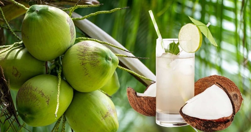 Nước dừa chứa nhiều kali, magie cùng các chất chống oxy hóa có lợi cho Sh88bet đăng ký miễn phí.
