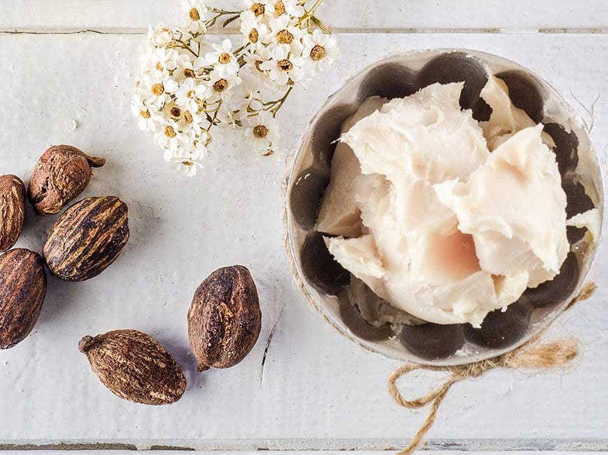 Bơ hạt mỡ (shea butter) là nguyên liệu được sử dụng phổ biến trong nhiều sản phẩm dưỡng da nhờ chứa các acid béo và vitamin có khả năng làm mềm da. 