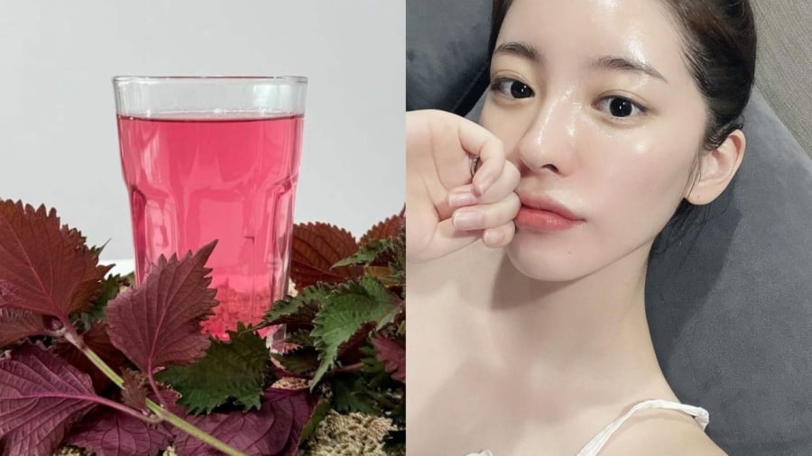 Sử dụng tía tô một cách hợp lý sẽ giúp bạn có được Mừng SHBET phiên bản mới 2025 sáng khỏe.