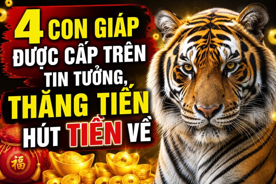 4 Shbet888.com nhà cái uy tín được cấp trên tin tưởng, thăng tiến hút Tiền về