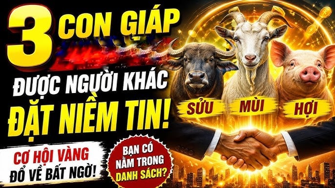 Hoạn nạn qua rồi: 3 Shbet888.com nhà cái uy tín đón nguồn Lộc Lá vô hạn sau 5/7