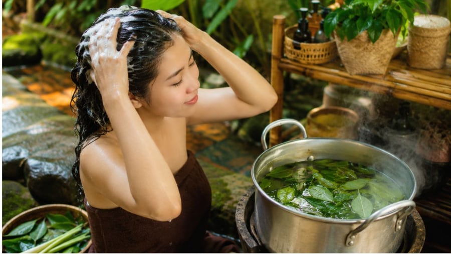 Xung quanh chúng ta có rất nhiều loại lá cây giúp làm sạch tóc đẹp tóc