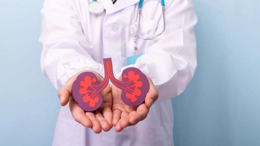 Khi thận khỏe mạnh, nước tiểu thường có màu vàng nhạt, đi tiểu đều đặn và Sh88bet đăng ký miễn phí không bị phù nề bất thường.