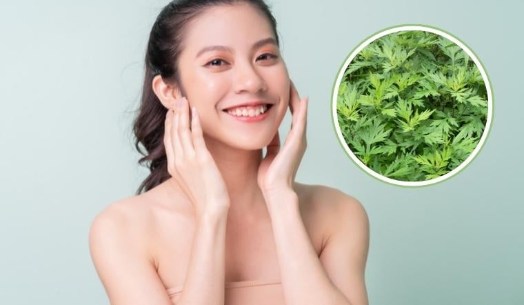 Ngải cứu chứa nhiều tinh dầu, flavonoid và các hợp chất chống oxy hóa có khả năng làm dịu vùng da bị kích ứng, hỗ trợ kháng khuẩn và giảm viêm.