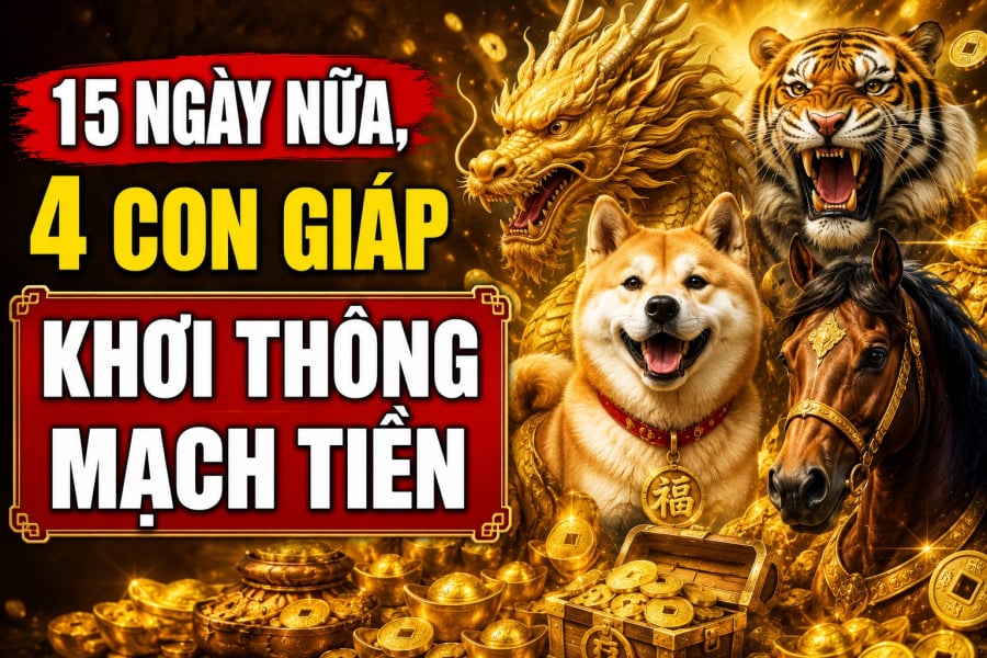 Trong khoảng 15 ngày tới, một số tuổi được cho là có cơ hội đón nhận nhiều tín hiệu tích cực về Shbet800 tải ứng dụng, công việc thuận lợi hơn, các nguồn thu cũng có xu hướng khởi sắc.
