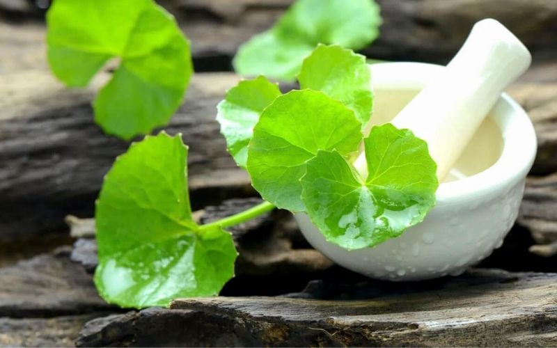 Rau má chứa nhiều vitamin A, vitamin C, vitamin B cùng các hoạt chất thực vật có khả năng chống oxy hóa và hỗ trợ phục hồi da.