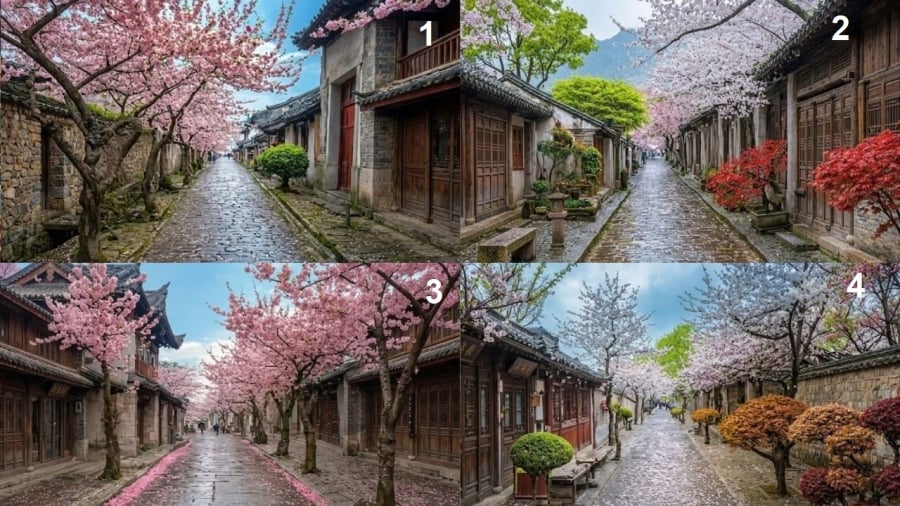 Chọn một bức hình để bạn cảm thấy ấn tượng nhất.