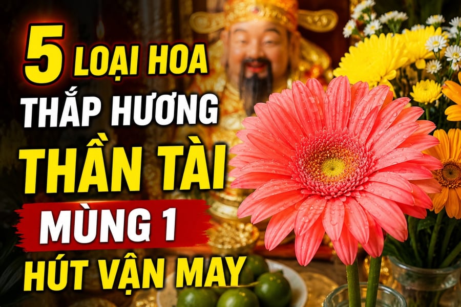 5 loại hoa thắp hương thần Tài mùng 1 hút vận may: Một trong số đó là hoa đồng tiền