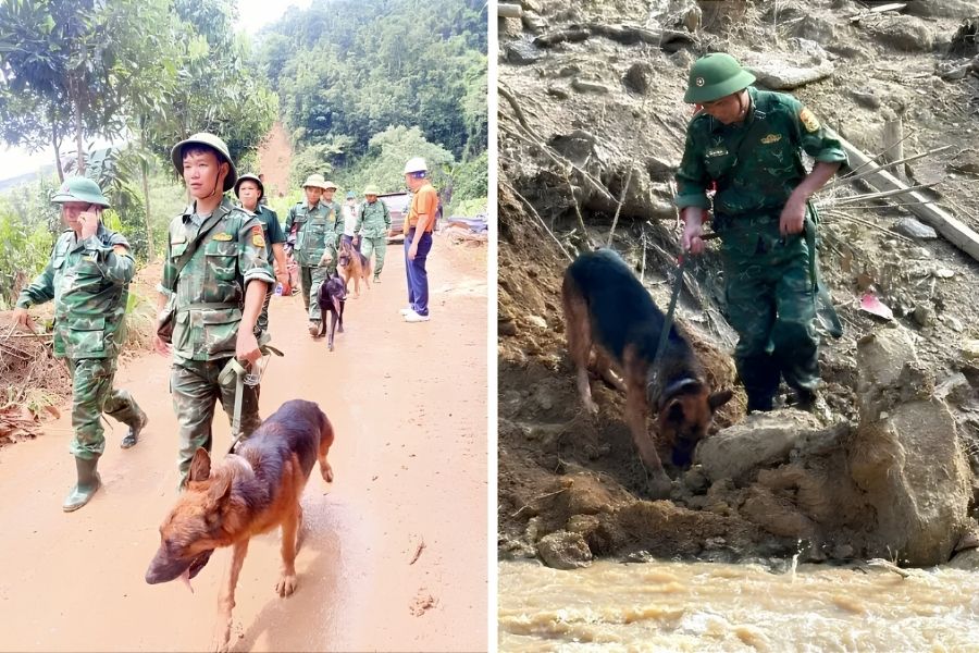 cho-nghiep-vu-xukip-tim-kiem-nan-nhan-o-lao-cai