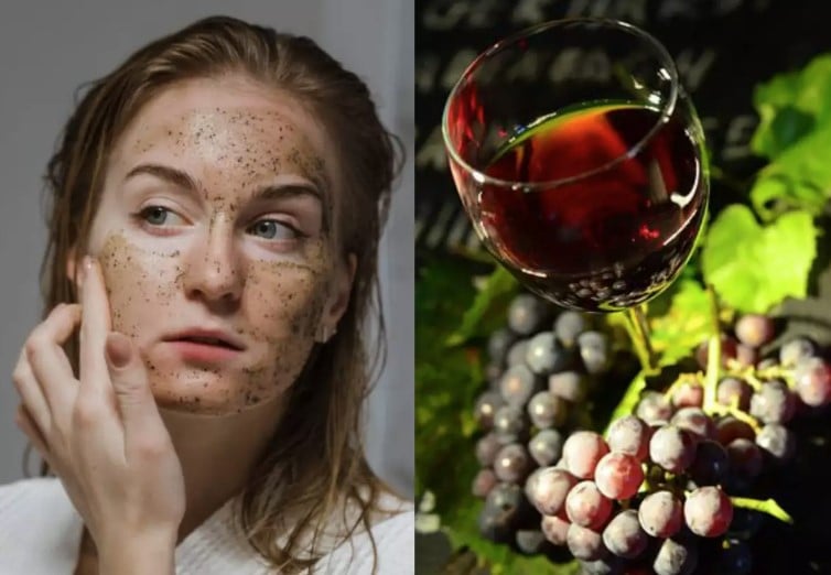 Trong đó, nổi bật nhất là resveratrol – một polyphenol tự nhiên tập trung chủ yếu ở vỏ nho. 