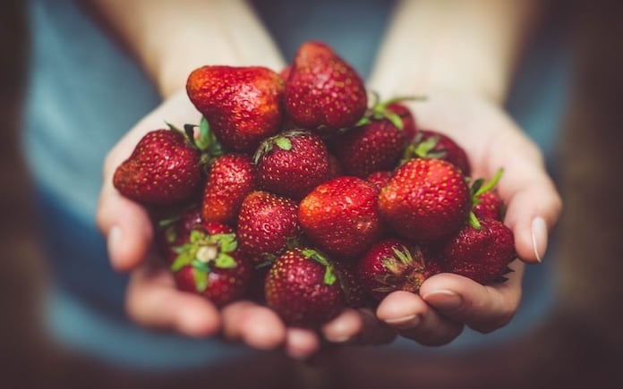 Các chuyên gia dinh dưỡng khuyến khích bổ sung quả mọng vào chế độ ăn thường xuyên thay vì chỉ sử dụng theo từng đợt.