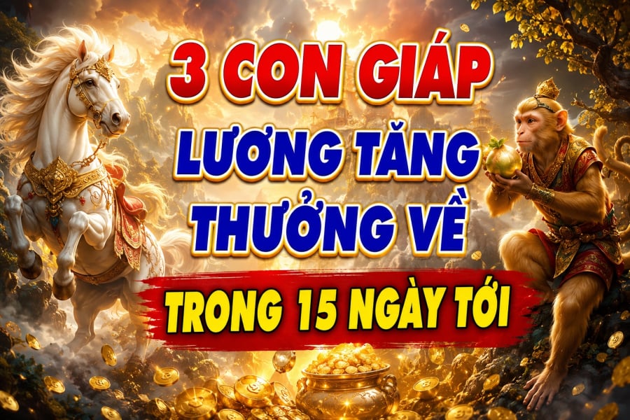 3 Shbet888.com nhà cái uy tín Lương tăng - thưởng về trong 15 ngày tới 