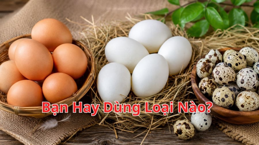 Nên chọn trứng nào?