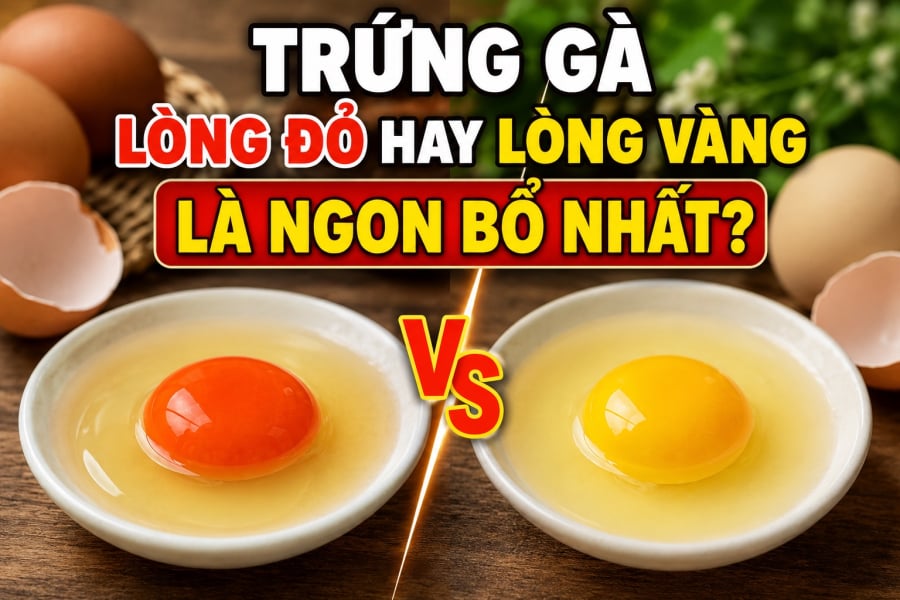 Trứng gà lòng đỏ hay lòng vàng ngon và bổ hơn? Nhiều người mua nhầm suốt bao năm