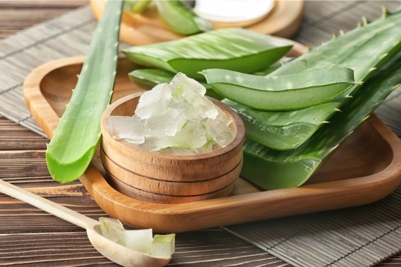 Gel nha đam được sử dụng phổ biến trong nhiều sản phẩm chăm sóc da nhờ khả năng cấp nước và làm dịu vùng da bị kích ứng.    