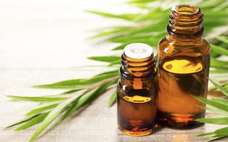 Tinh dầu tràm trà là thành phần quen thuộc trong nhiều sản phẩm dành cho da dầu và da mụn.    