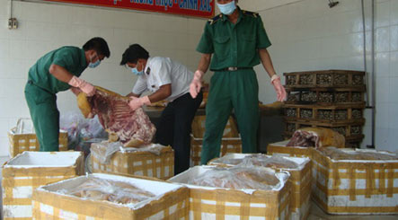 Mô tả ảnh.