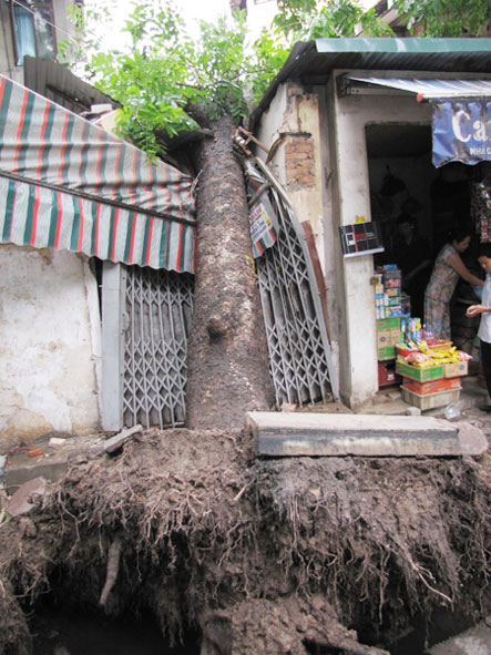 Mô tả ảnh.