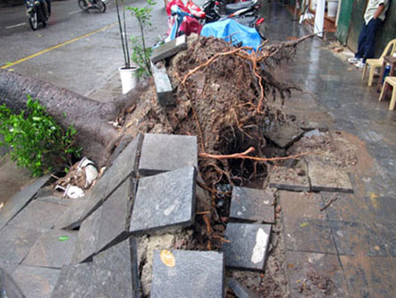 Mô tả ảnh.
