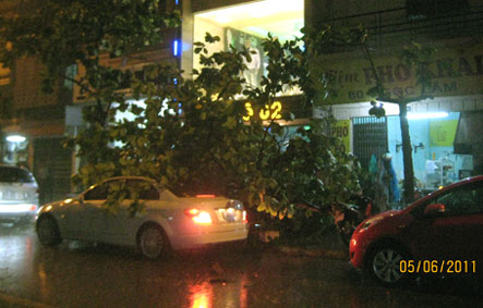 Mô tả ảnh.