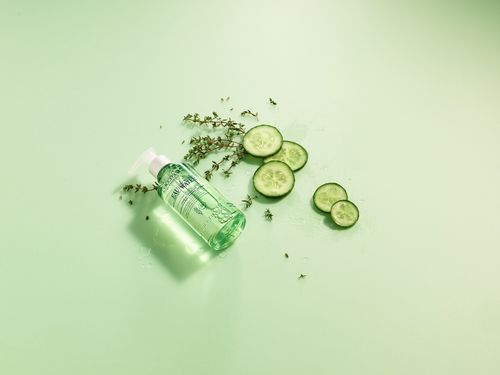 Một con chim cu của ông Ba Thành ở Cà Mau có tuổi đời hơn 20 năm.
