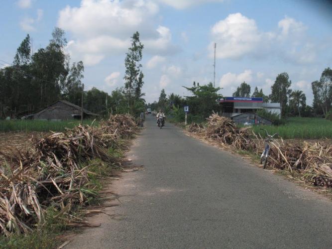 Mô tả ảnh.