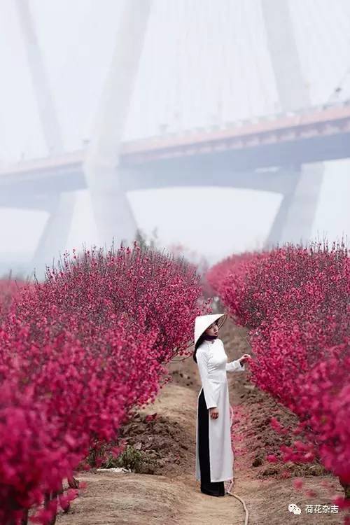 Mô tả ảnh.
