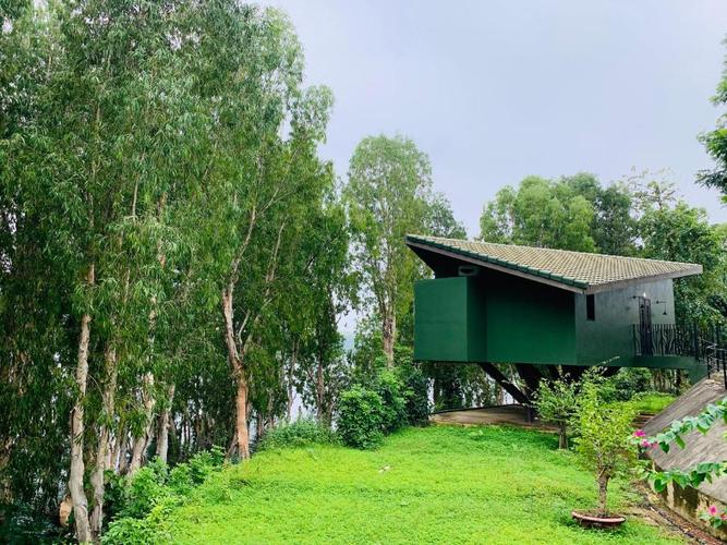 Irina tự tin với vẻ đẹp hình thể. Cô hiện đang là một Shbet888 phiên bản mới nhất sáng giá của làng người mẫu thế giới.