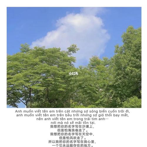 Mô tả ảnh.