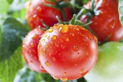  Tuy đảm bảo một “kết quả chắc chắn” nhưng chuyên gia tư vấn tâm lý Trần Thị Hồng Hà cho rằng việc này cũng sẽ mang lại những hệ lụy tiêu cực hơn là tích cực. (Ảnh minh họa)