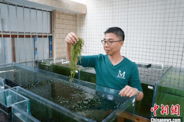 Mặc dù không đạt được kết quả cao, nhưng cô cũng kịp tìm cho mình được bản hợp đồng MC đầu tiên của cuộc đời mình. Sau đó, cô rất tích cực tham gia các hoạt động giải trí khác.