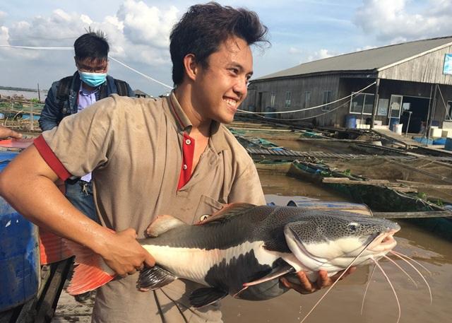 Ảnh cận vẻ đẹp khó cưỡng của Lộ Lộ xứ Hồng Kông