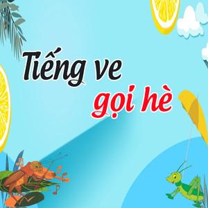 Nhiều thí sinh đã mất điểm trong mắt khán giả