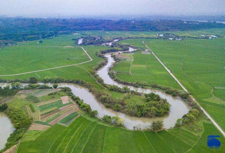 Thân hình cô nàng cũng không gợi cảm như thời điểm hiện tại.