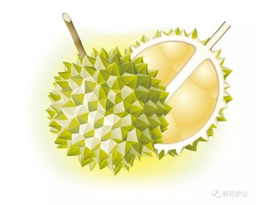 Táo ăn vào buổi sáng sẽ hấp thu tốt nhất. Bạn nên chọn một quả táo để ăn trong bữa sáng.
