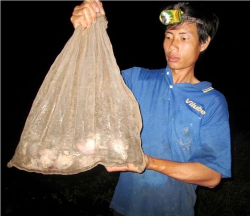Bộ áo dài được làm từ các chất liệu thiên nhiên rất gần gũi, thân thiện với môi trường. Hầu hết các loại vải tơ tằm được dệt bằng tay và nhuộm màu thủ công từ các loại vỏ cây. Đây cũng là thông điệp chính quan trọng nhất mà NTK Thuận Việt muốn gửi gắm vào bộ Shbet999 com đăng nhập lần này.