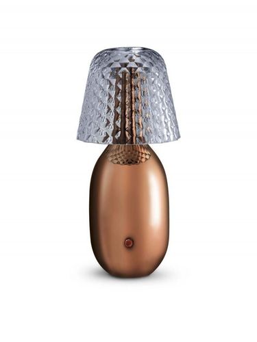 Liễu Hựu Kỳ lấy cá Hồi làm đề tài trong bộ ảnh bán nude của mình