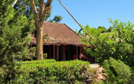 Fan Việt tranh nhau cào xé sao Hàn.