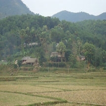 Hoang tin về dòng họ ma cà rồng ở Việt Nam