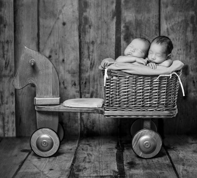 Những thiên thần nhỏ đang ngủ trông vô cùng đáng yêu.