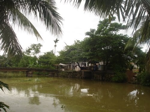 Chiều về trên quê hương
