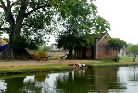 Cây đa, bến nước , con đò